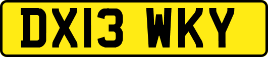 DX13WKY