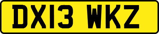 DX13WKZ