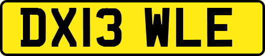DX13WLE