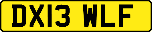 DX13WLF