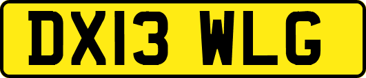 DX13WLG