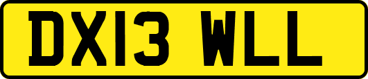 DX13WLL
