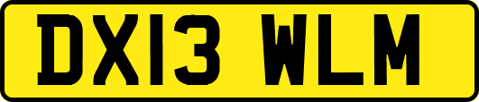 DX13WLM