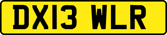 DX13WLR