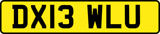 DX13WLU