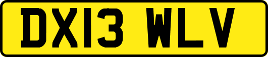 DX13WLV