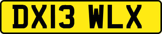 DX13WLX