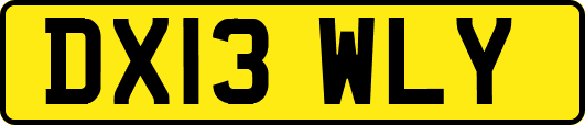 DX13WLY