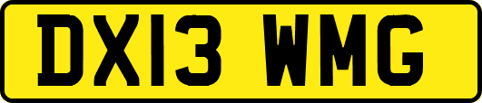 DX13WMG