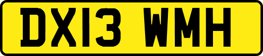 DX13WMH