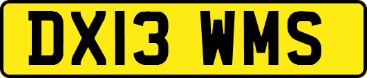 DX13WMS