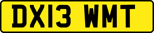 DX13WMT