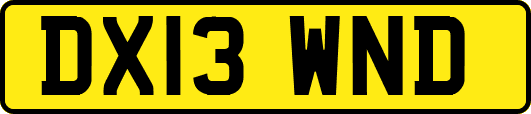 DX13WND
