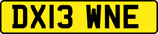 DX13WNE