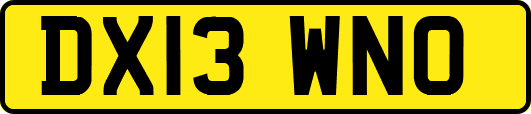 DX13WNO