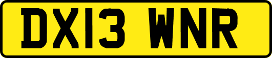 DX13WNR