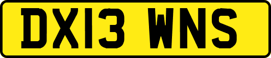 DX13WNS