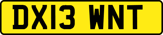DX13WNT