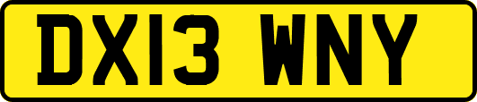 DX13WNY