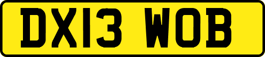 DX13WOB