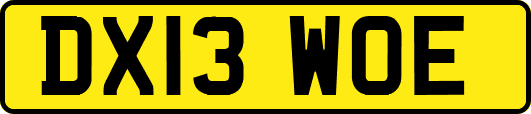 DX13WOE