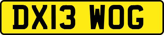 DX13WOG