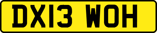 DX13WOH
