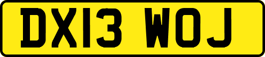 DX13WOJ