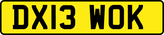 DX13WOK