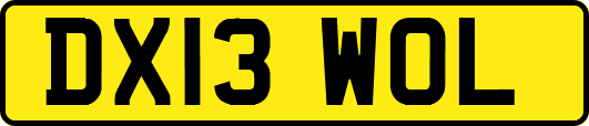 DX13WOL