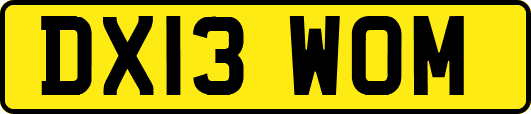 DX13WOM