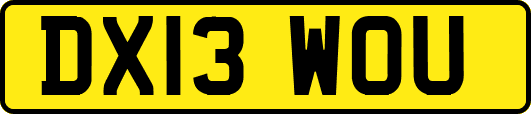 DX13WOU