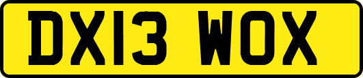 DX13WOX