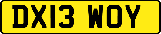 DX13WOY