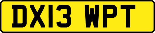 DX13WPT
