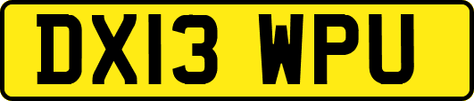 DX13WPU