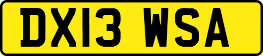 DX13WSA