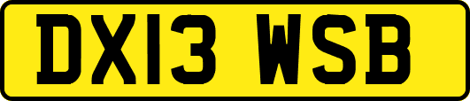 DX13WSB