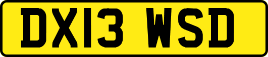 DX13WSD