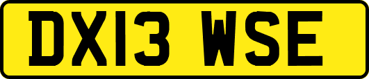 DX13WSE