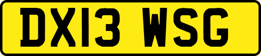 DX13WSG