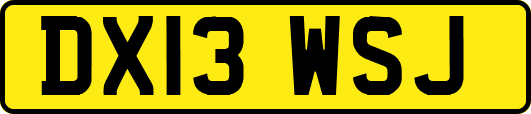 DX13WSJ