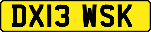 DX13WSK