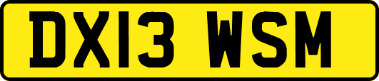 DX13WSM