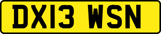 DX13WSN