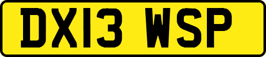 DX13WSP