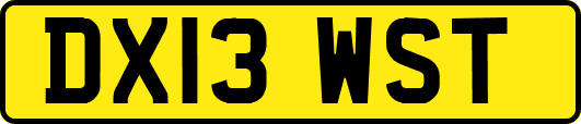 DX13WST