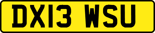DX13WSU