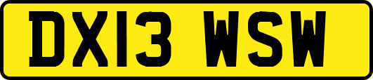 DX13WSW
