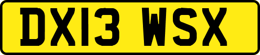 DX13WSX